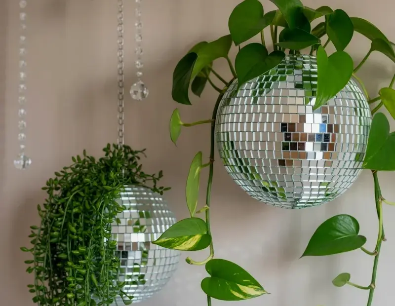 Disco Ball Planters on a Budget | Pothos Wall Decor DIY
